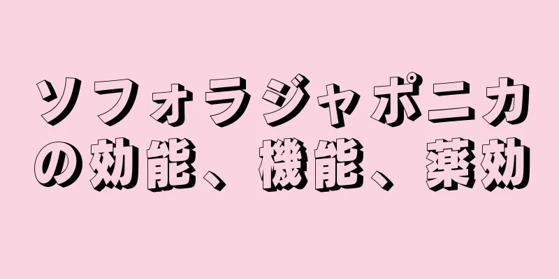 ソフォラジャポニカの効能、機能、薬効