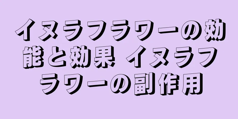 イヌラフラワーの効能と効果 イヌラフラワーの副作用