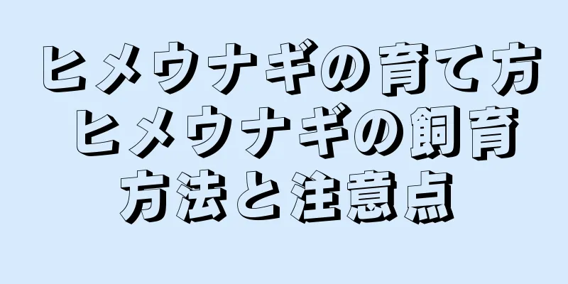 ヒメウナギの育て方 ヒメウナギの飼育方法と注意点
