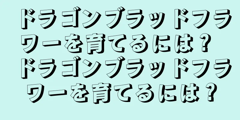 ドラゴンブラッドフラワーを育てるには？ ドラゴンブラッドフラワーを育てるには？