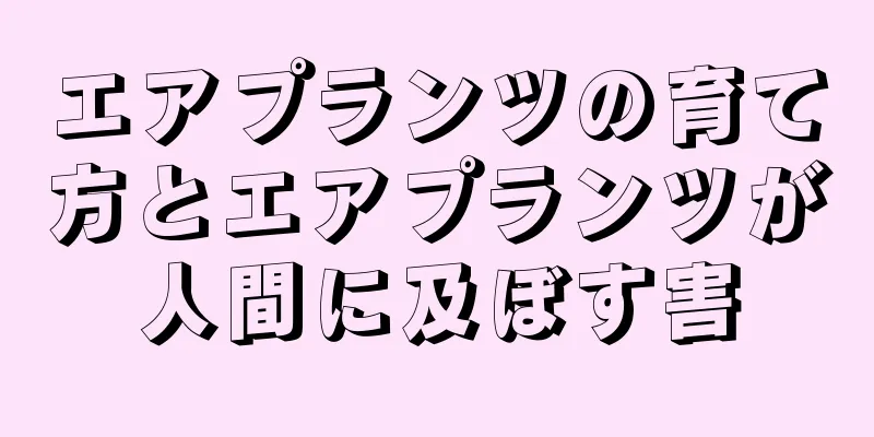 エアプランツの育て方とエアプランツが人間に及ぼす害