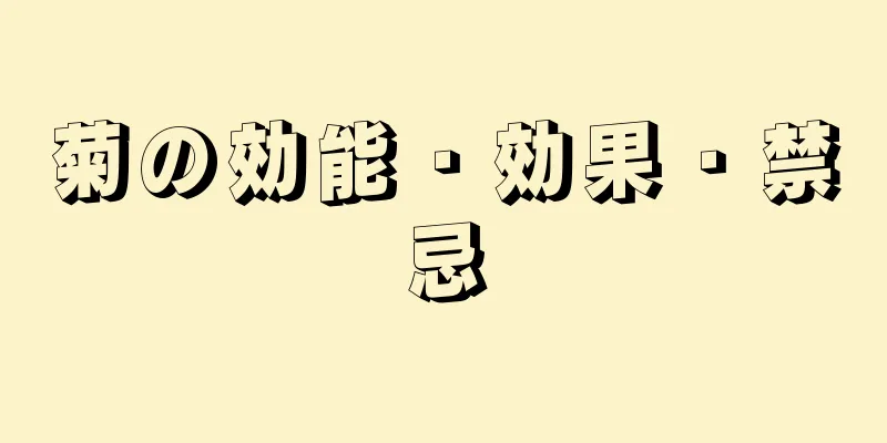 菊の効能・効果・禁忌