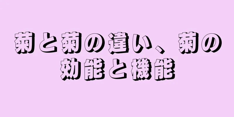 菊と菊の違い、菊の効能と機能