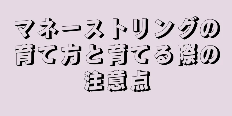 マネーストリングの育て方と育てる際の注意点