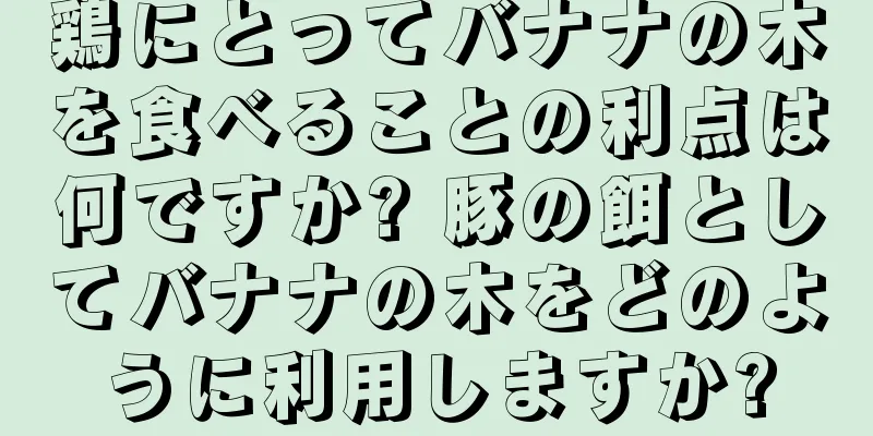 鶏にとってバナナの木を食べることの利点は何ですか? 豚の餌としてバナナの木をどのように利用しますか?