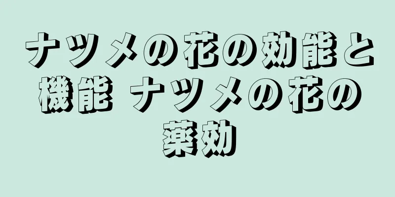 ナツメの花の効能と機能 ナツメの花の薬効