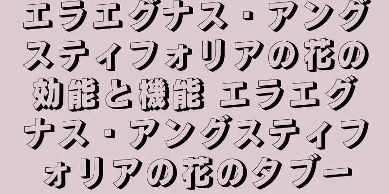 エラエグナス・アングスティフォリアの花の効能と機能 エラエグナス・アングスティフォリアの花のタブー