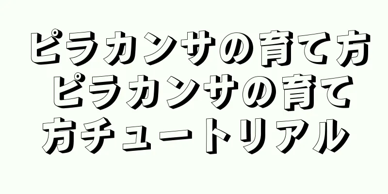 ピラカンサの育て方 ピラカンサの育て方チュートリアル