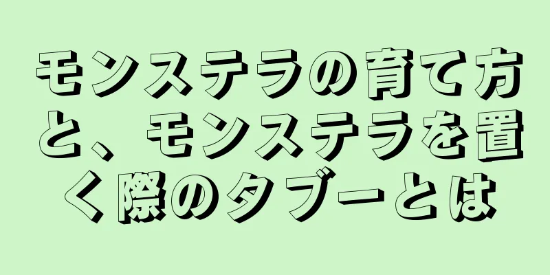 モンステラの育て方と、モンステラを置く際のタブーとは