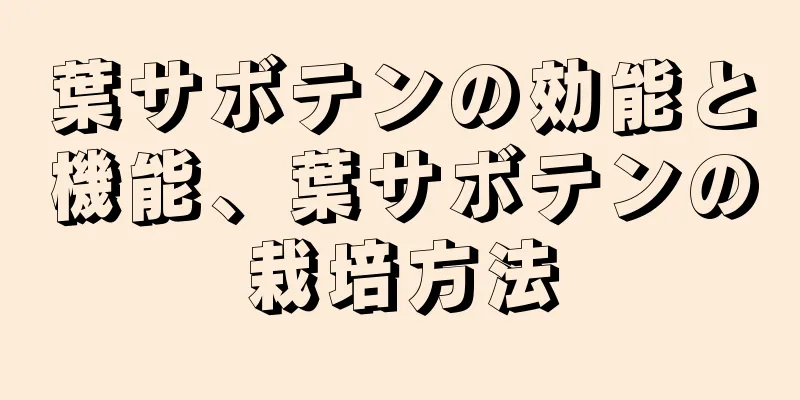 葉サボテンの効能と機能、葉サボテンの栽培方法