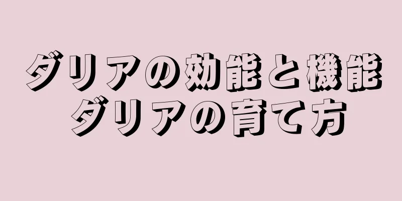 ダリアの効能と機能 ダリアの育て方