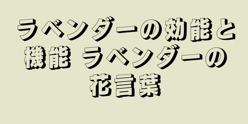 ラベンダーの効能と機能 ラベンダーの花言葉