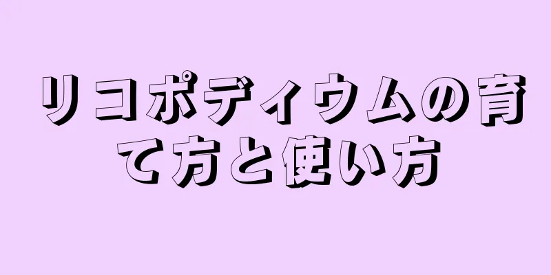 リコポディウムの育て方と使い方