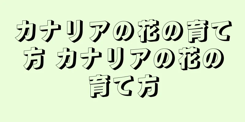 カナリアの花の育て方 カナリアの花の育て方