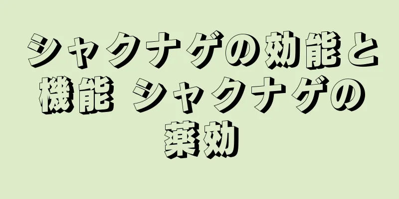 シャクナゲの効能と機能 シャクナゲの薬効