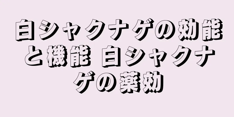 白シャクナゲの効能と機能 白シャクナゲの薬効