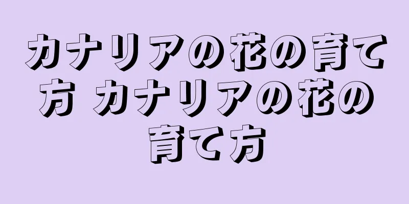 カナリアの花の育て方 カナリアの花の育て方