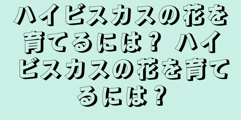 ハイビスカスの花を育てるには？ ハイビスカスの花を育てるには？