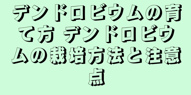 デンドロビウムの育て方 デンドロビウムの栽培方法と注意点