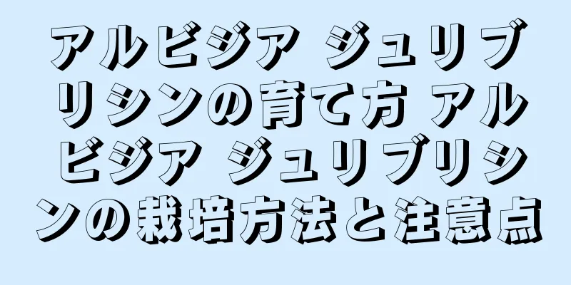 アルビジア ジュリブリシンの育て方 アルビジア ジュリブリシンの栽培方法と注意点