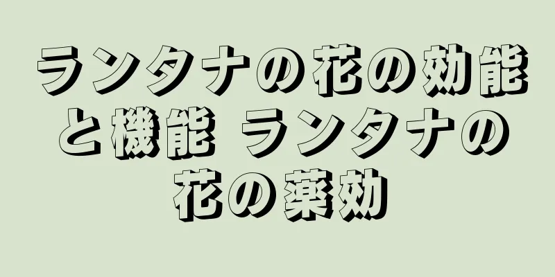 ランタナの花の効能と機能 ランタナの花の薬効