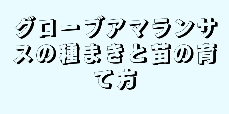 グローブアマランサスの種まきと苗の育て方