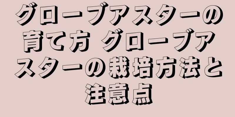 グローブアスターの育て方 グローブアスターの栽培方法と注意点