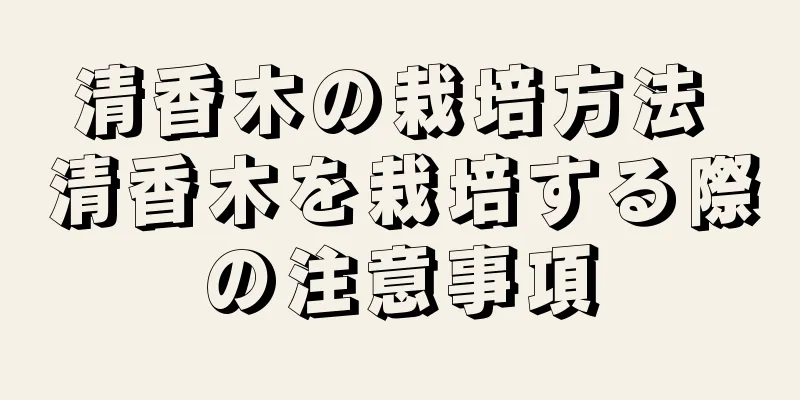 清香木の栽培方法 清香木を栽培する際の注意事項