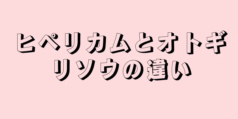 ヒペリカムとオトギリソウの違い