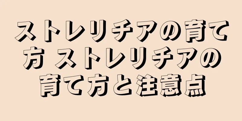 ストレリチアの育て方 ストレリチアの育て方と注意点