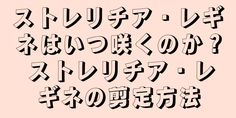 ストレリチア・レギネはいつ咲くのか？ ストレリチア・レギネの剪定方法