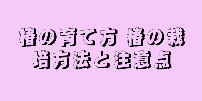 椿の育て方 椿の栽培方法と注意点