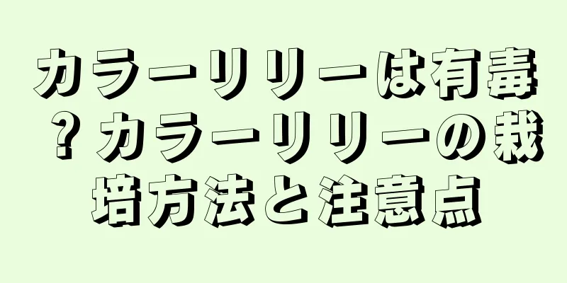 カラーリリーは有毒？カラーリリーの栽培方法と注意点