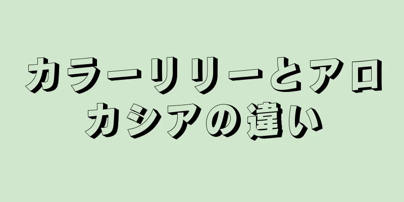 カラーリリーとアロカシアの違い