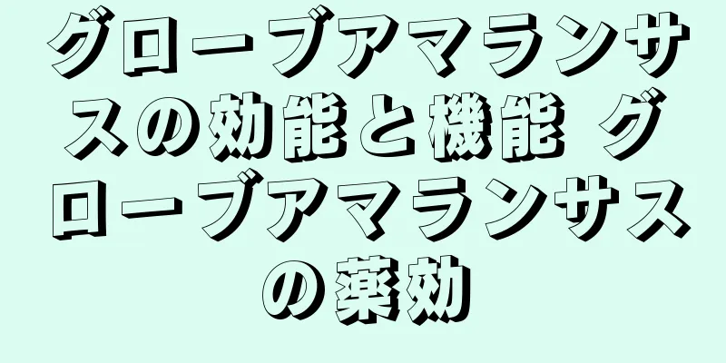 グローブアマランサスの効能と機能 グローブアマランサスの薬効