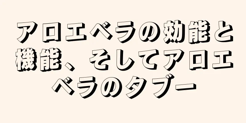アロエベラの効能と機能、そしてアロエベラのタブー
