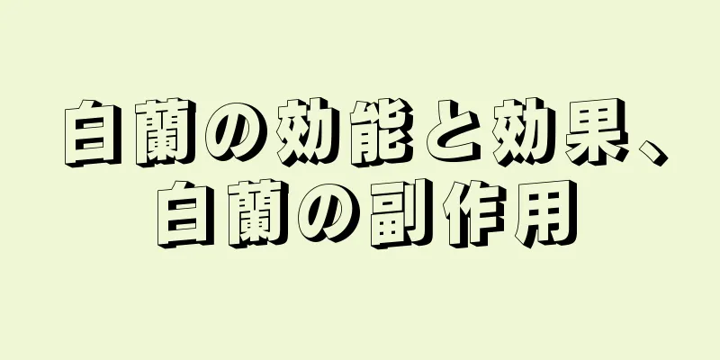 白蘭の効能と効果、白蘭の副作用