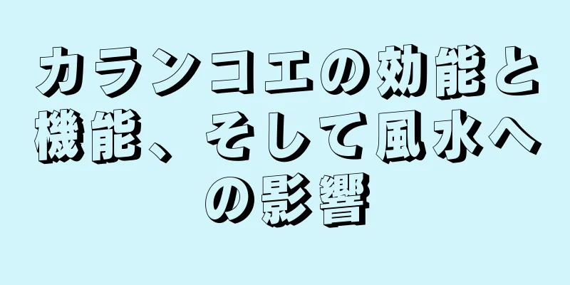 カランコエの効能と機能、そして風水への影響