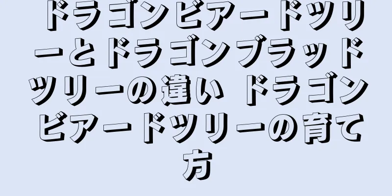 ドラゴンビアードツリーとドラゴンブラッドツリーの違い ドラゴンビアードツリーの育て方
