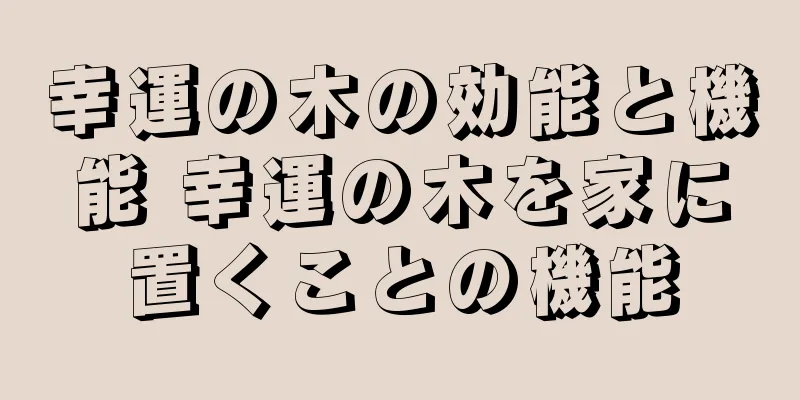 幸運の木の効能と機能 幸運の木を家に置くことの機能