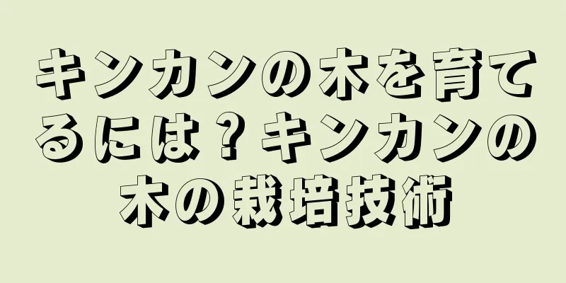 キンカンの木を育てるには？キンカンの木の栽培技術
