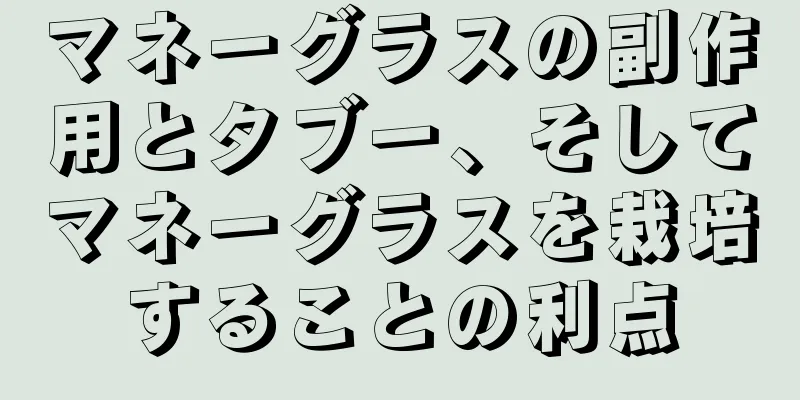 マネーグラスの副作用とタブー、そしてマネーグラスを栽培することの利点
