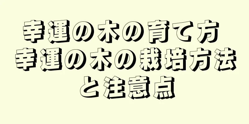 幸運の木の育て方 幸運の木の栽培方法と注意点