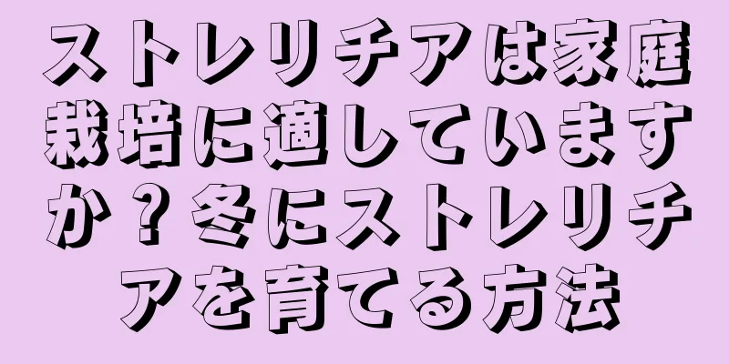 ストレリチアは家庭栽培に適していますか？冬にストレリチアを育てる方法