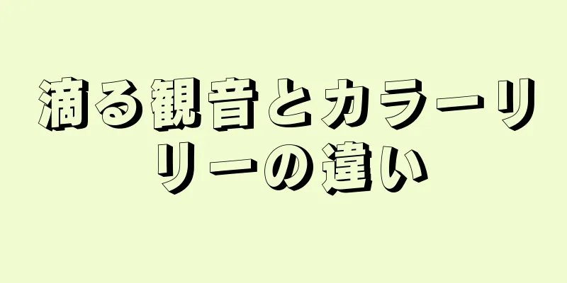 滴る観音とカラーリリーの違い