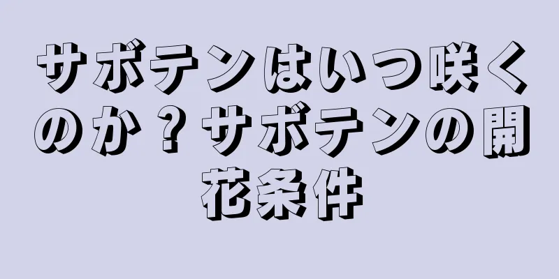 サボテンはいつ咲くのか？サボテンの開花条件