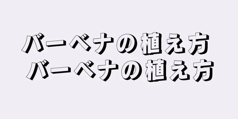 バーベナの植え方 バーベナの植え方