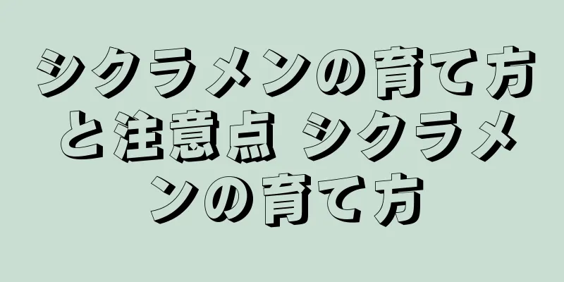 シクラメンの育て方と注意点 シクラメンの育て方