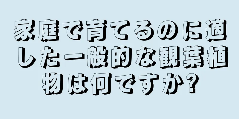 家庭で育てるのに適した一般的な観葉植物は何ですか?