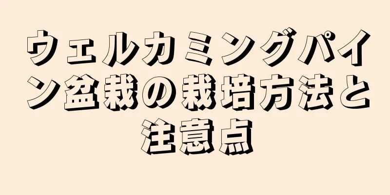 ウェルカミングパイン盆栽の栽培方法と注意点